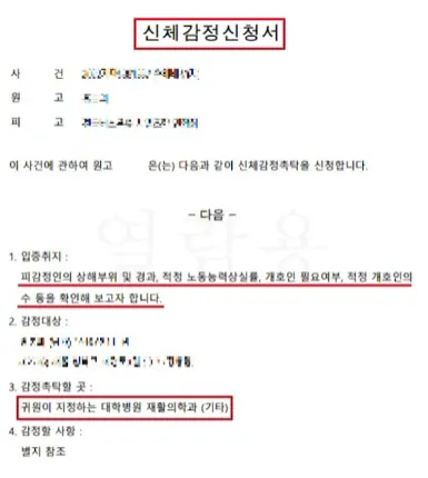 교통사고 손해배상 소송? 보험사 보다 합의금 2배 더 받는 방법 - 이미지 4