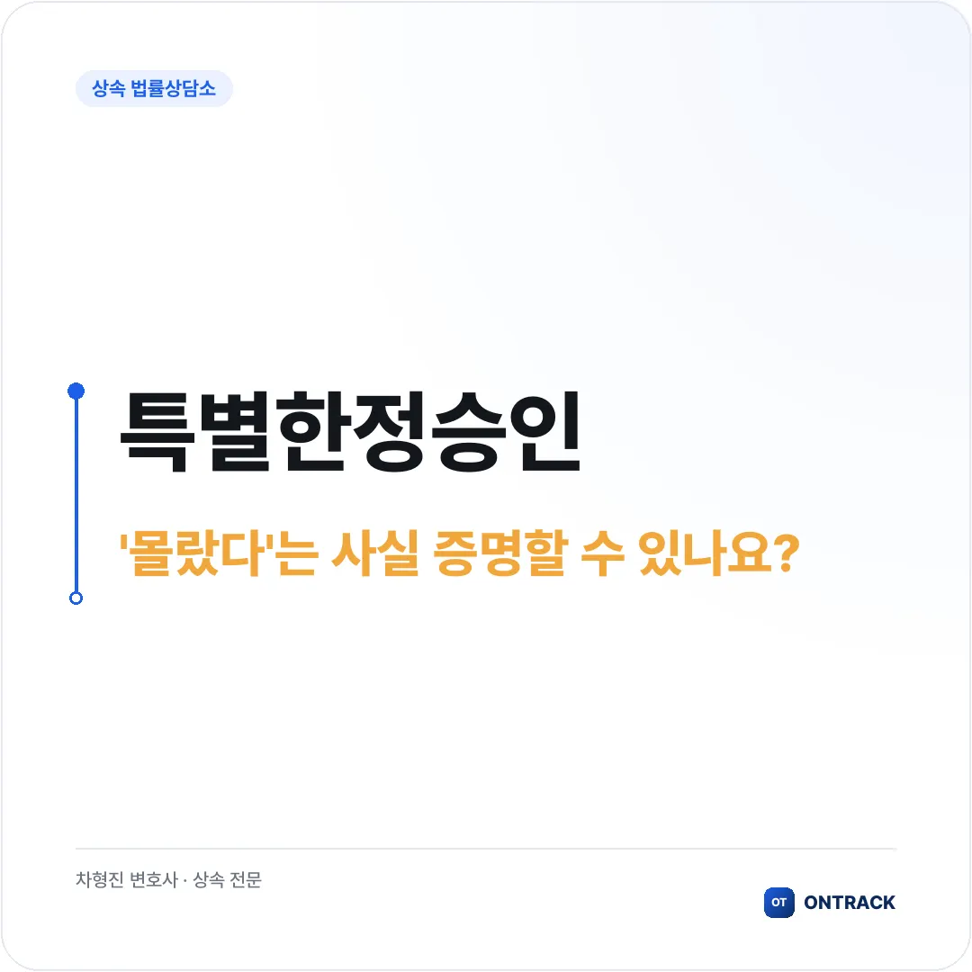 특별한정승인, 신청 요건부터 사후 절차까지 이 글로 정리하세요 - 이미지 2